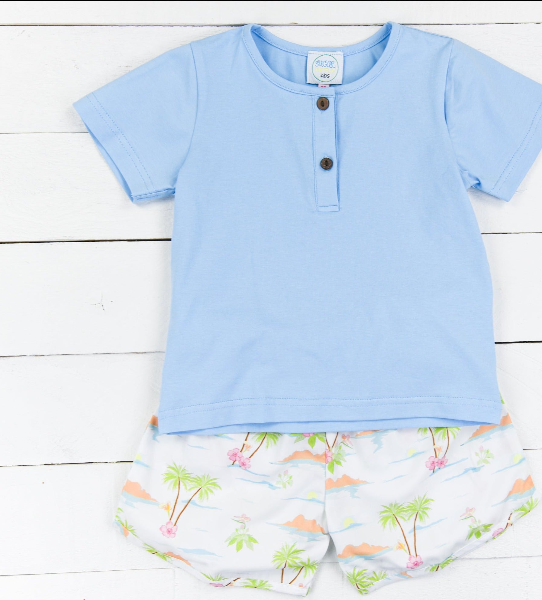 Boys Island Time Shorts Set
