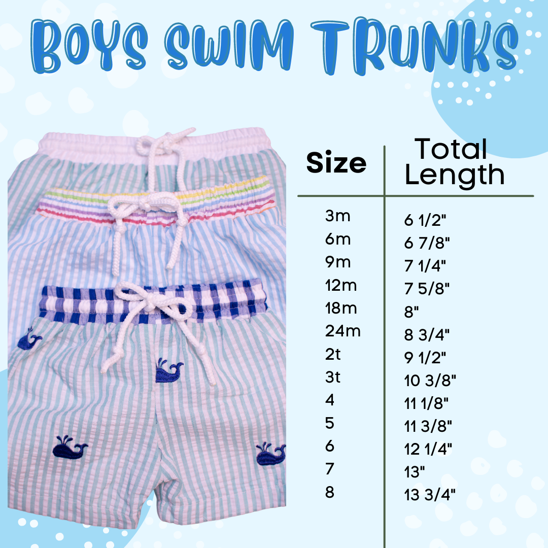Boys Blue/Pink Seersucker Swim Shorts