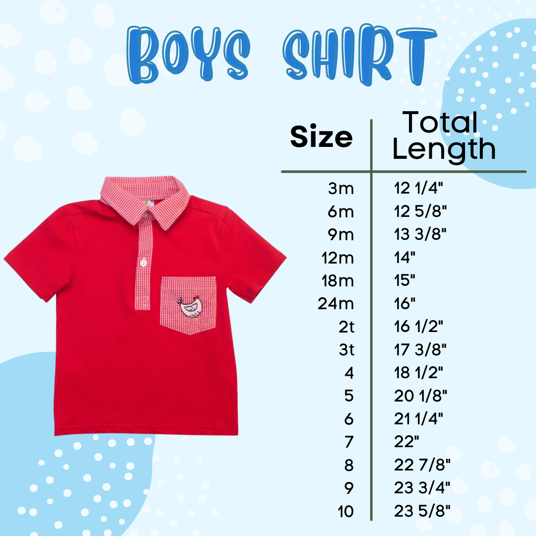 Boys Dino Shirt Only
